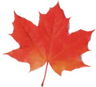 120921-canada-maple-leaf