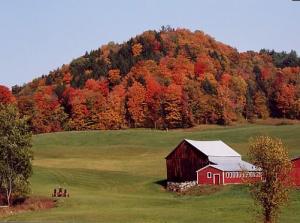Vermont-Farm